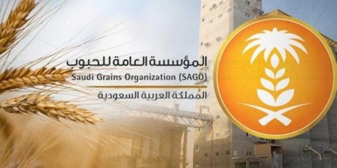 صورة الحبوب تبدأ صرف أولى دفعات مستحقات مزارعي القمح المحلي