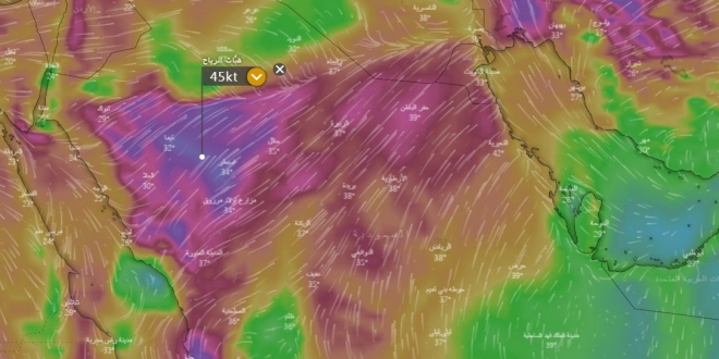صورة الحصيني : موجة حارة ورياح شديدة غدًا ضعوا الأغنام في الشبك وثبتوا الخيام