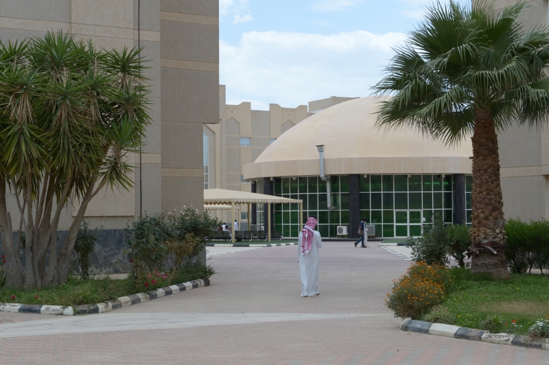 الكلية التطبيقية بجامعة الملك خالد تستقبل الدفعة الأولى من الطلاب - المواطن
